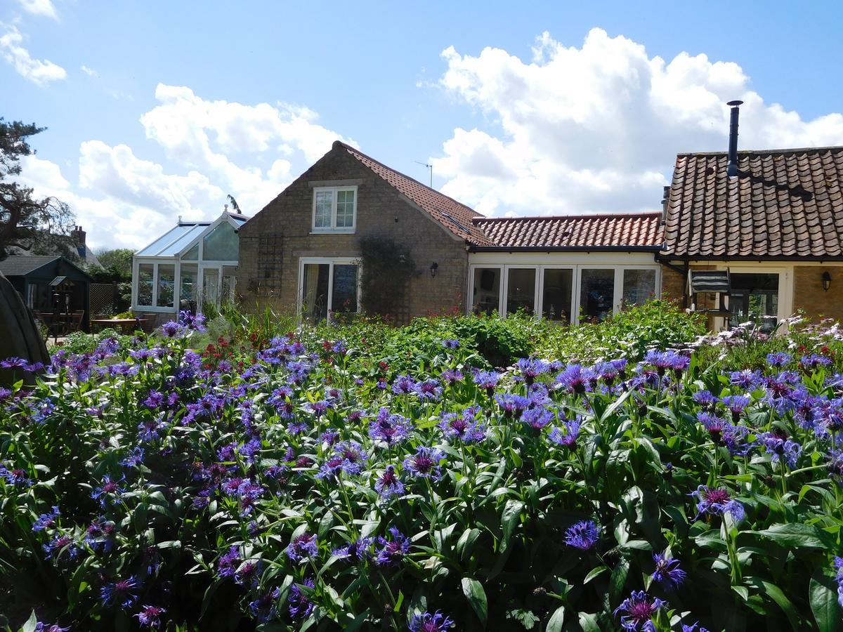 Foxholm Bed And Breakfast Scarborough Exterior foto